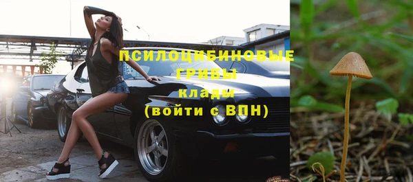 mdpv Вяземский