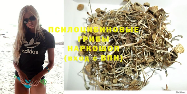 mdpv Вяземский