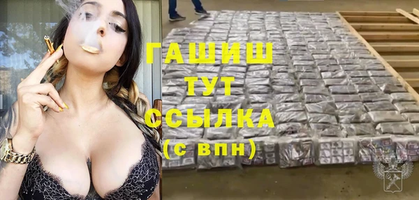 mdpv Вяземский
