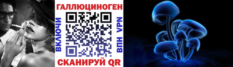 даркнет клад  Емва  Псилоцибиновые грибы мицелий 